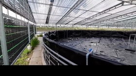 工廠化高密度水產養殖,鐵倉刀刮布高位池排污系統之增氧型魚馬桶安裝