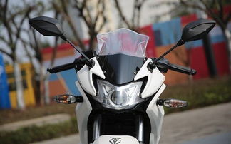 國產仿賽等于地平線 你家地平線這么牛x