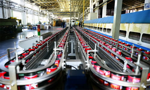 食品廠生物質(zhì)蒸汽鍋爐在哪里買 生物質(zhì)蒸汽鍋爐有什么特點(diǎn)