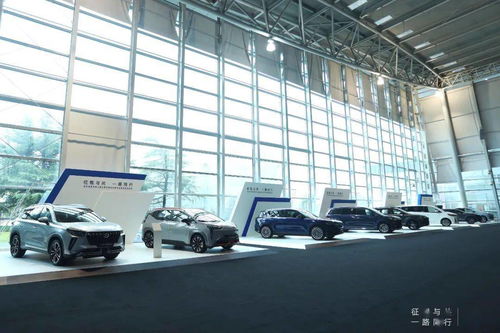 地平線發(fā)布新產(chǎn)品,用 芯 為自動駕駛打地基