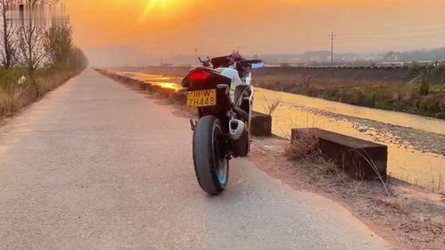 它是不是地平線我自己最清楚